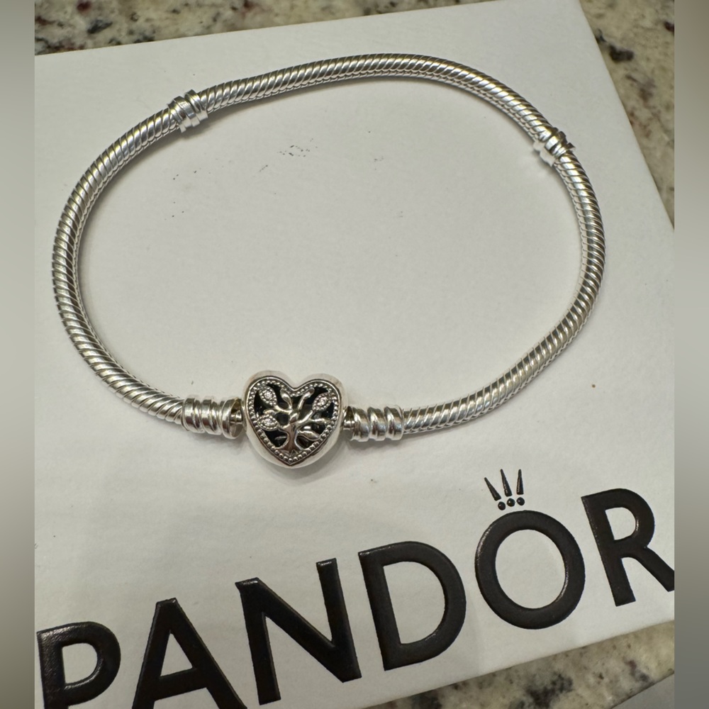 Pandora bracelet - never worn - new in box